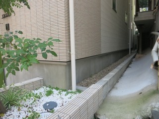 IMG_5742.jpg